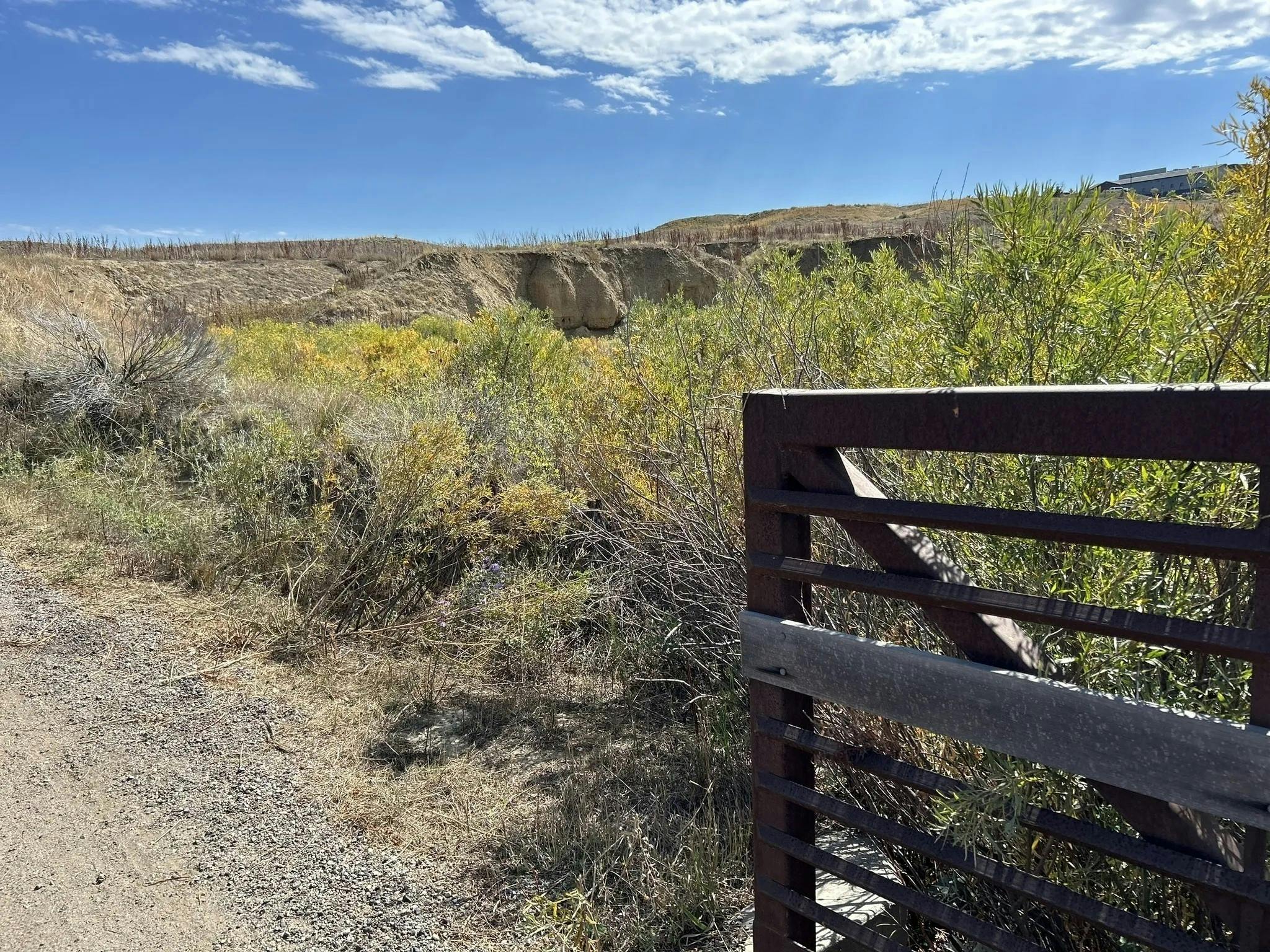 coal creek - all trails.jpg