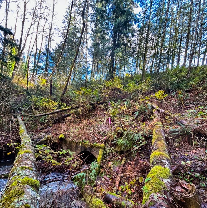 Existing fish barrier crossing
