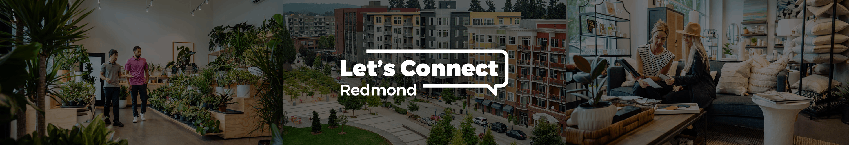 Let's Connect Redmond - Economic Development Strategic Action Plan