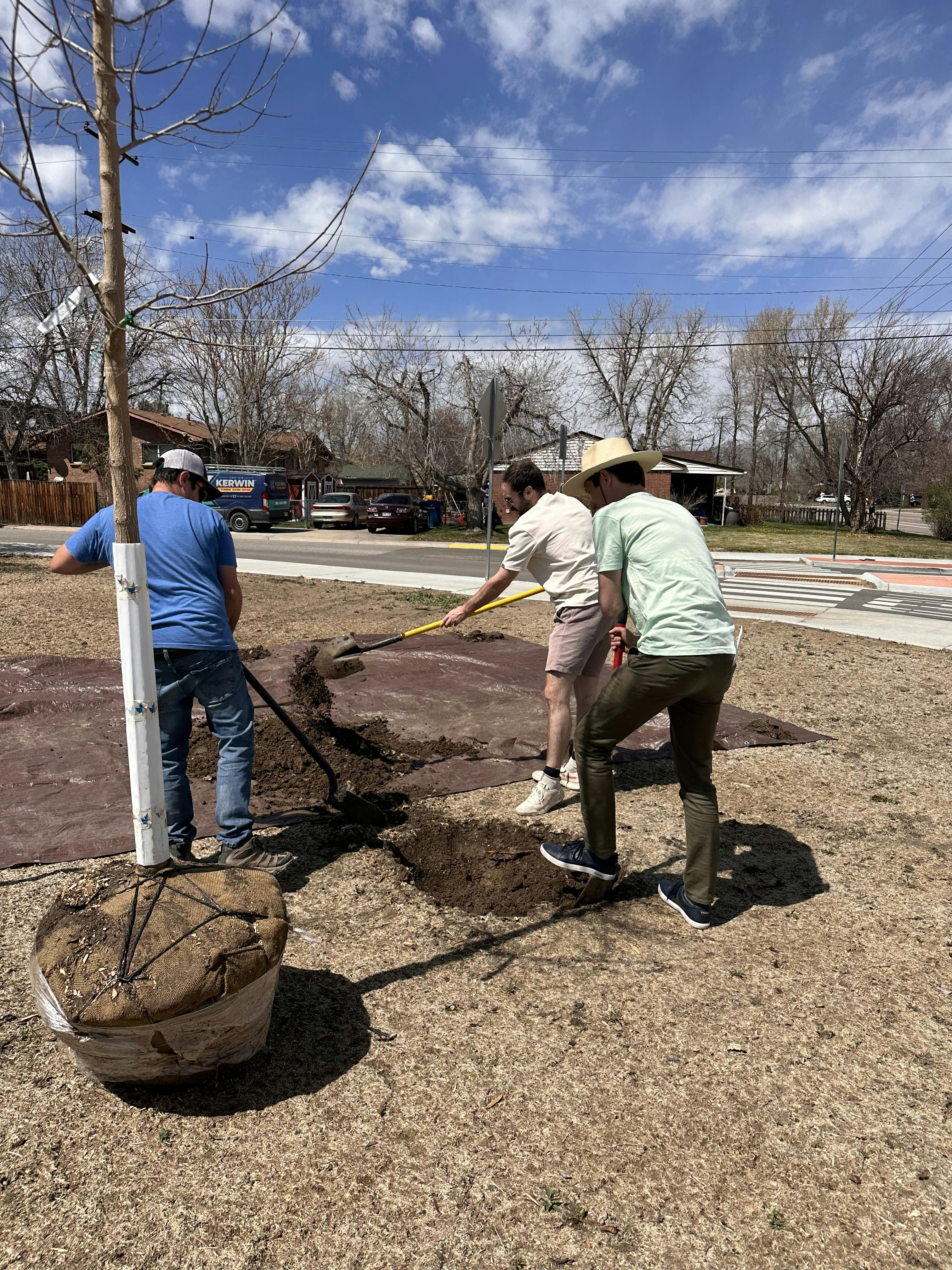 Arbor Day Tree Planting