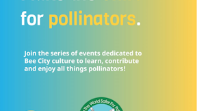 Make the Shift for pollinators