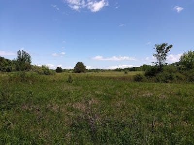 Williamstown Township Park meadow.jpg