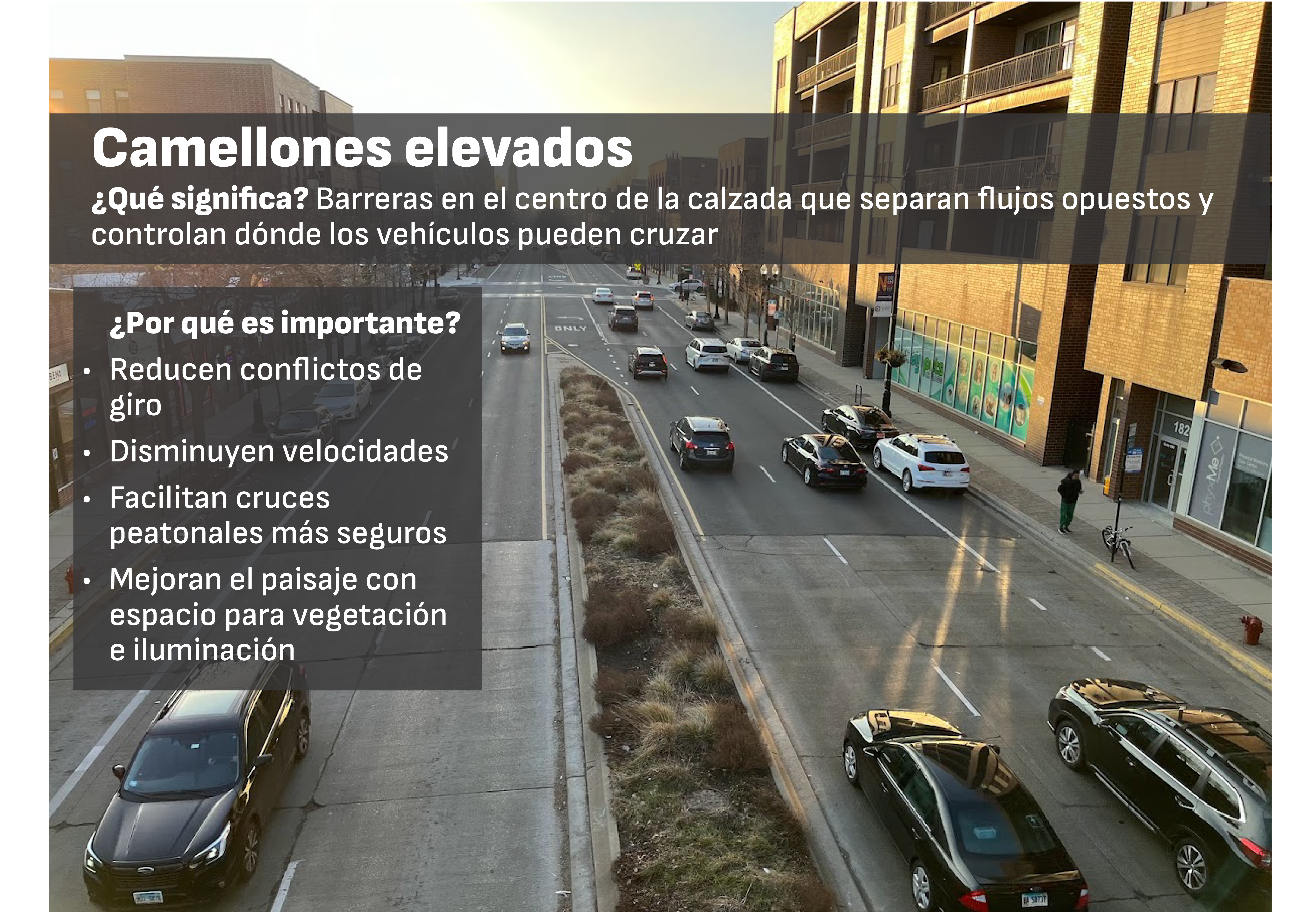 Camellones elevados en el centro de la calle