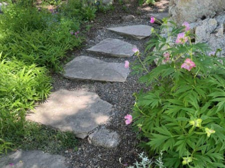 walkway with perennials.jpg