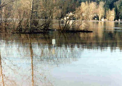 1996 Flood