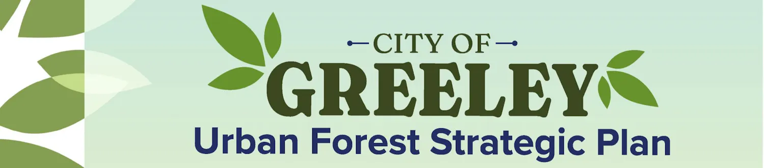 project banner