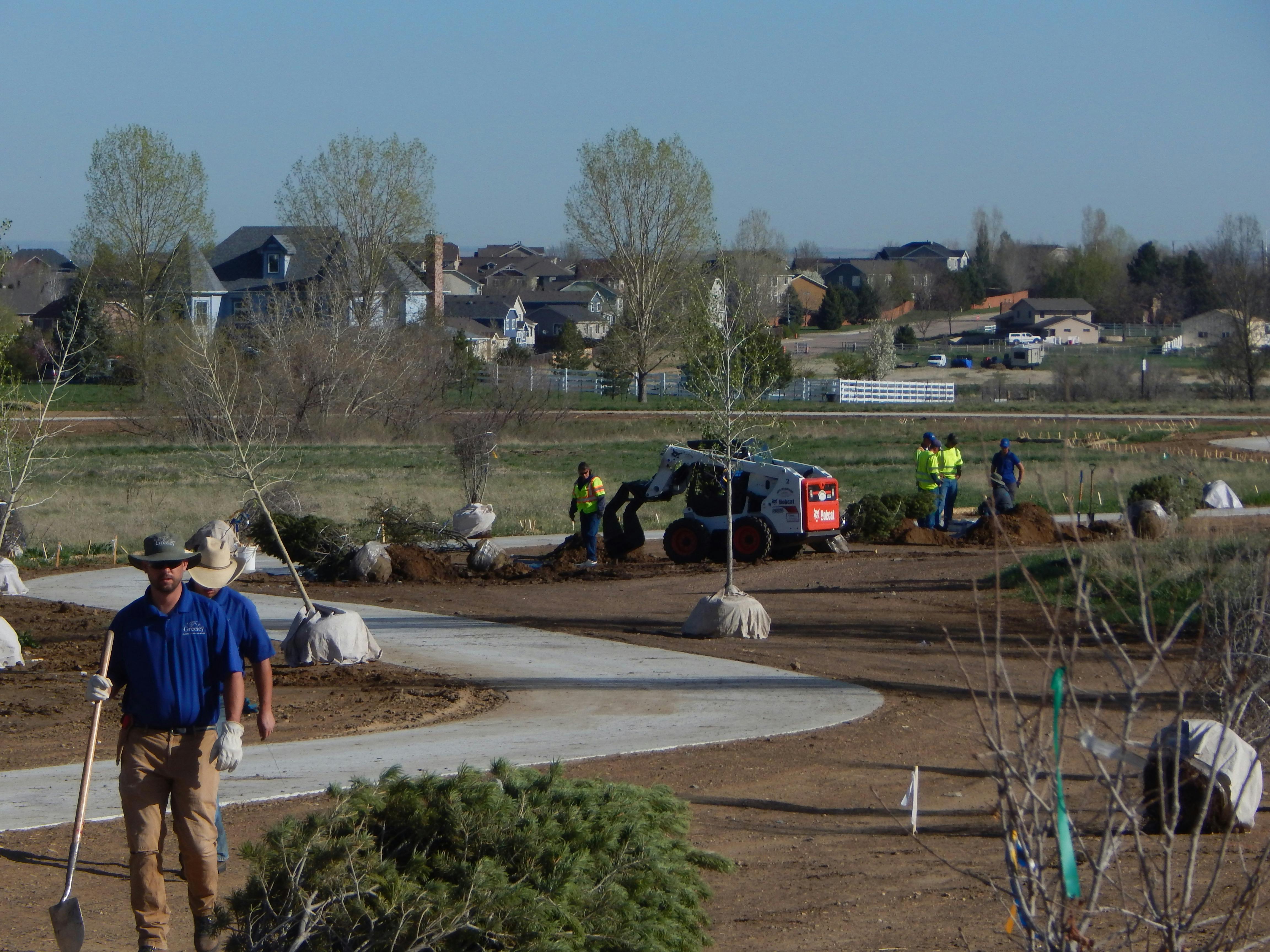 Mountain Vista Trail.JPG