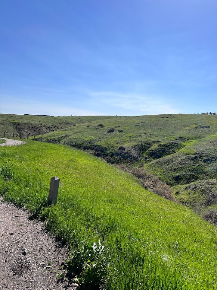 Coyote Ridge Photo 1