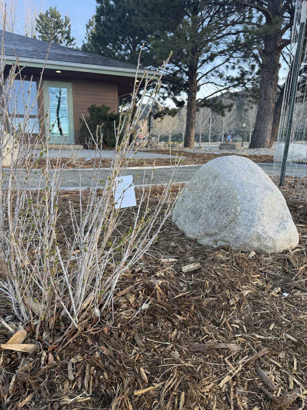 Clear mountain river flows through a rocky canyon with rounded boulders in the foreground. Pine-covered hills rise along the 