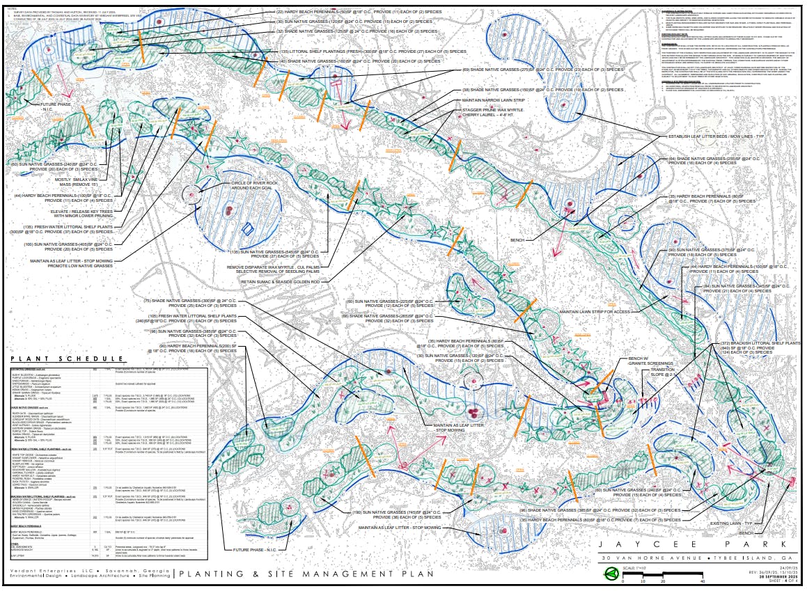 Jaycee Park Wetlands Restoration 4.png
