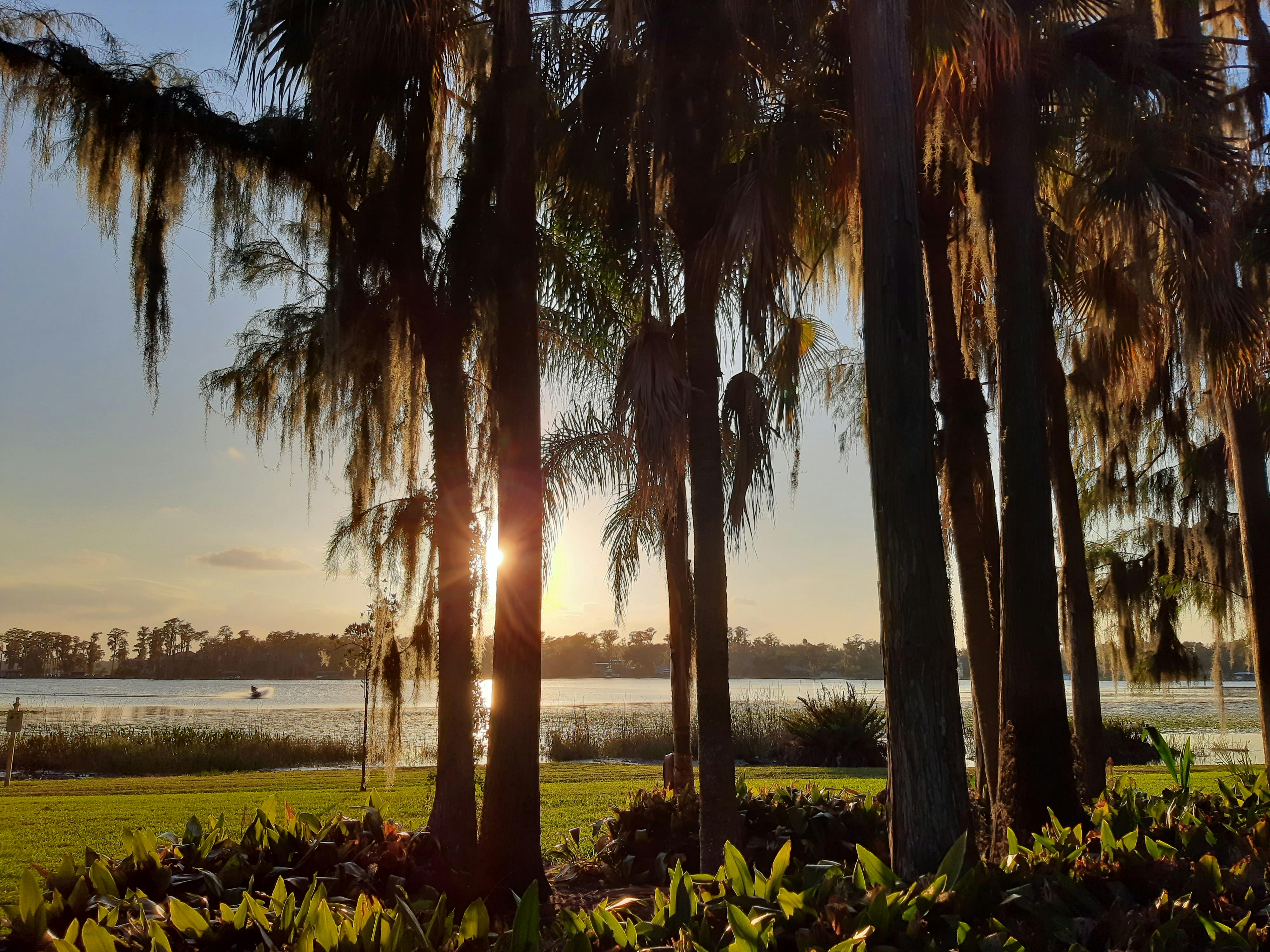 Cypress Grove Park