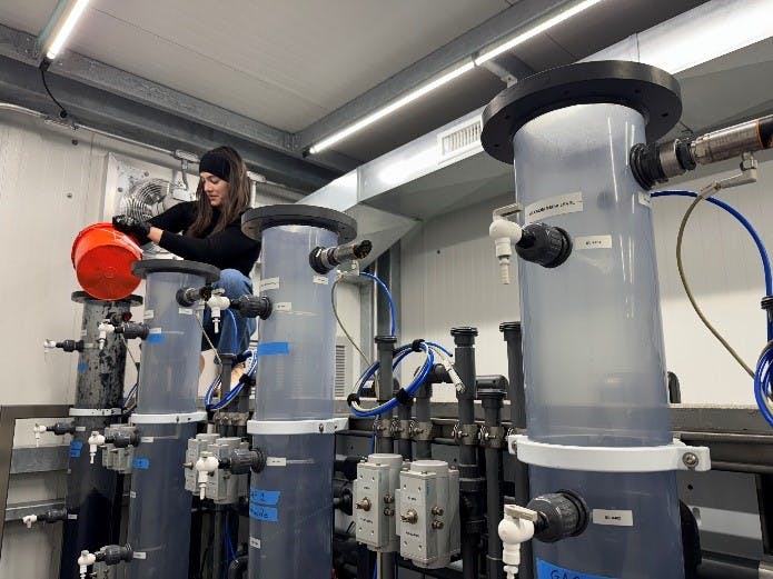 Nikki Ingram working on the Taste and Odor Study