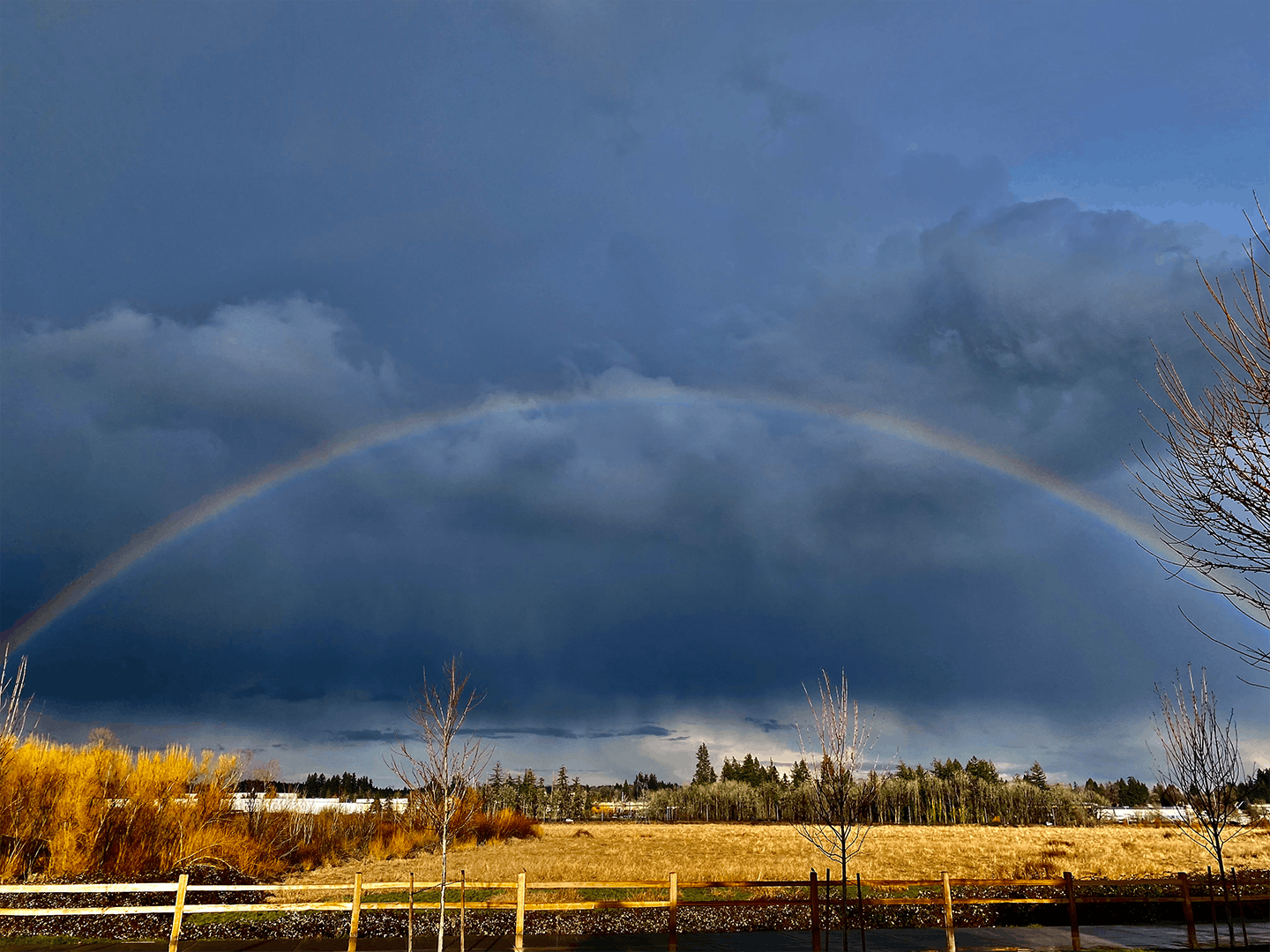 Category 2: Aristic (Scenic)