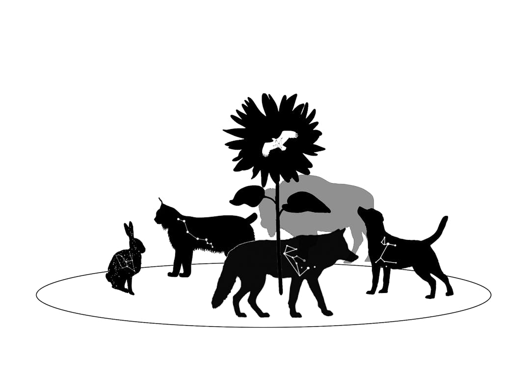Silhouettes of a rabbit, lynx, wolf, bear, and dog with constellations, circling a tall flower with a bird in its bloom.