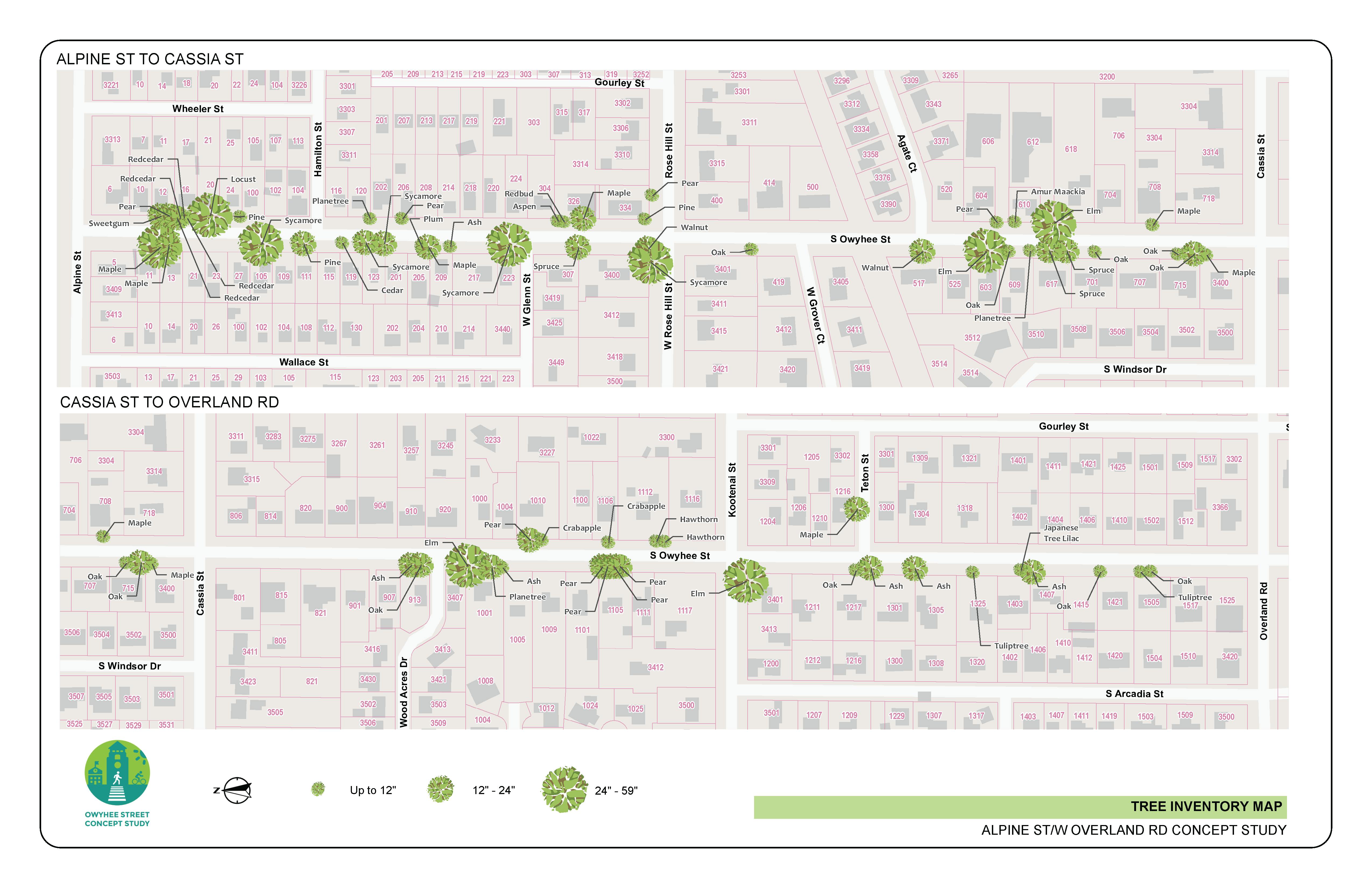 Owyhee Street Tree Inventory