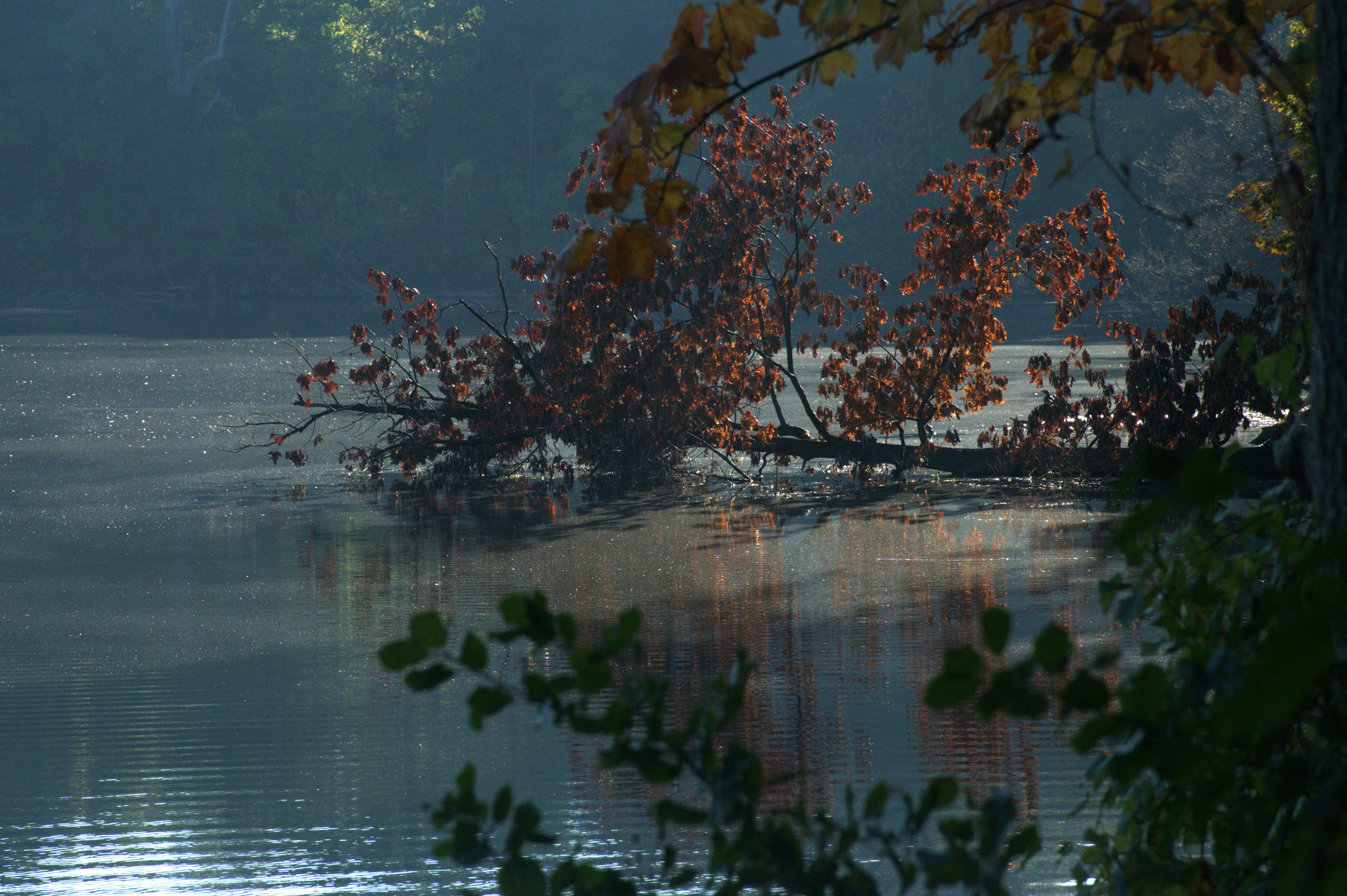 DSC_7034b.png
