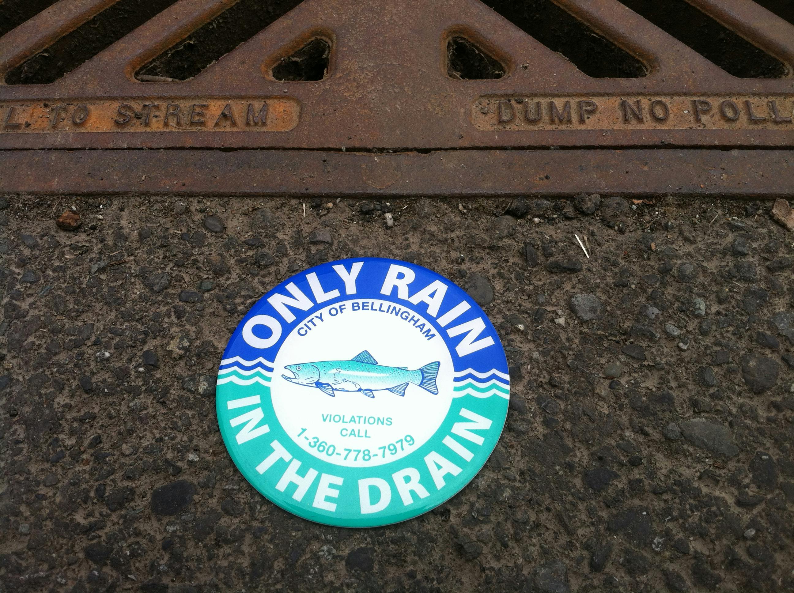 Only Rain in the Drain