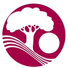 Team member, Leslie Clark