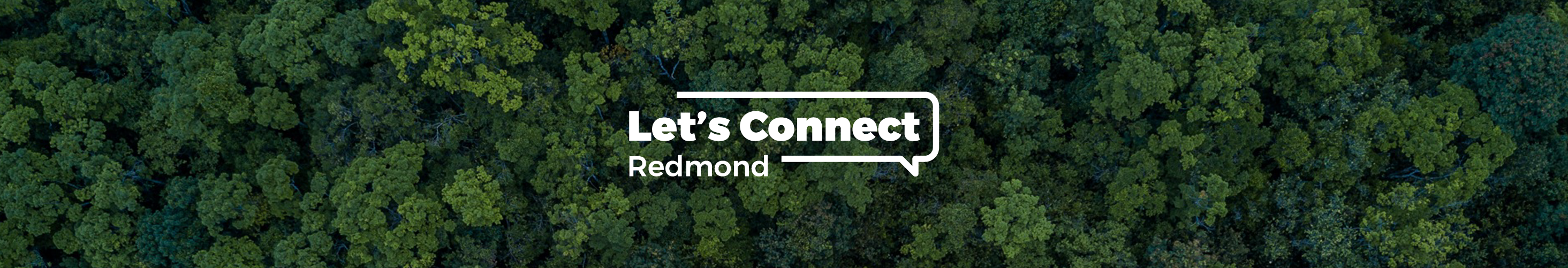 Tree canopy aerial view