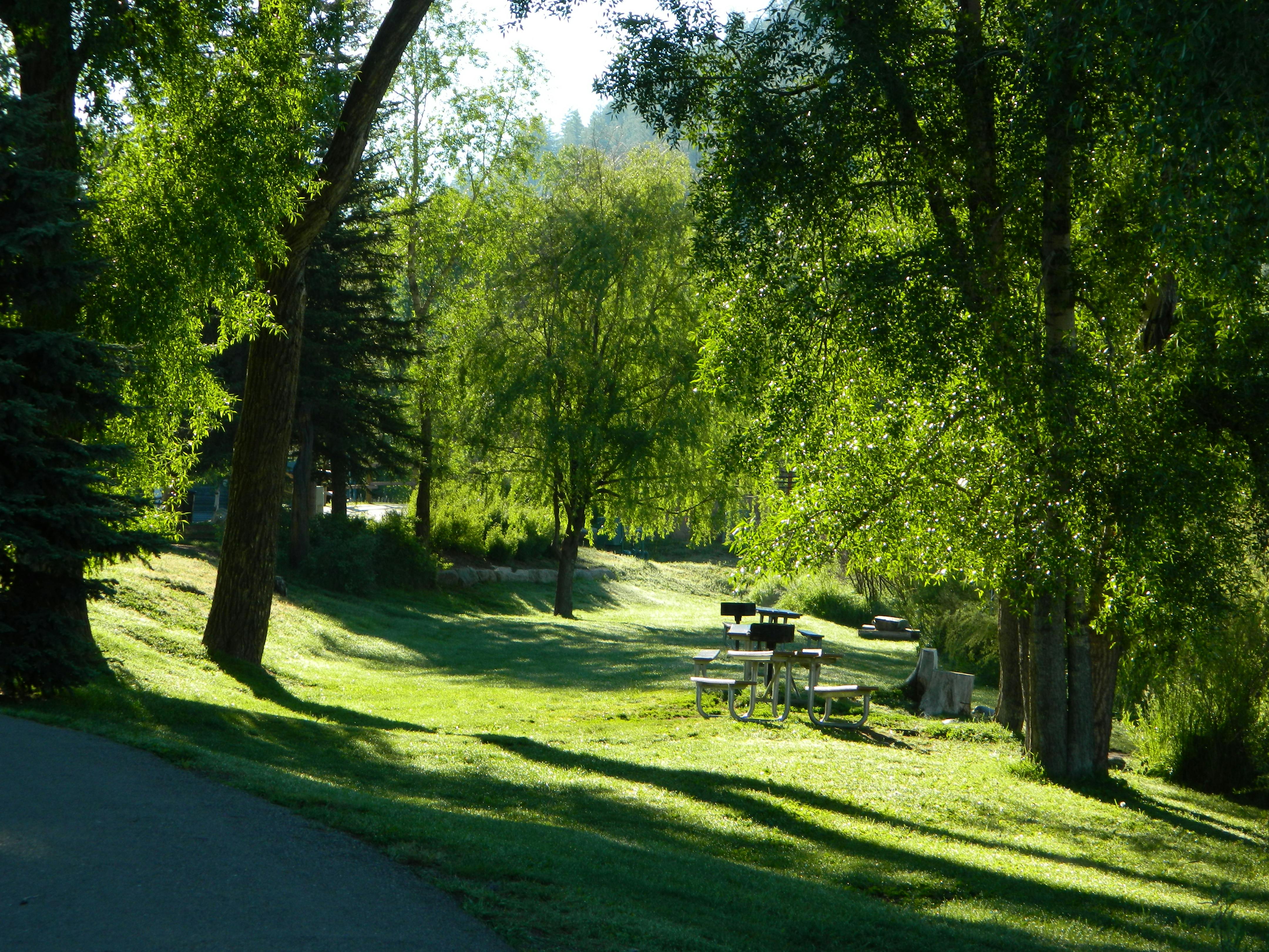 town park shady.JPG