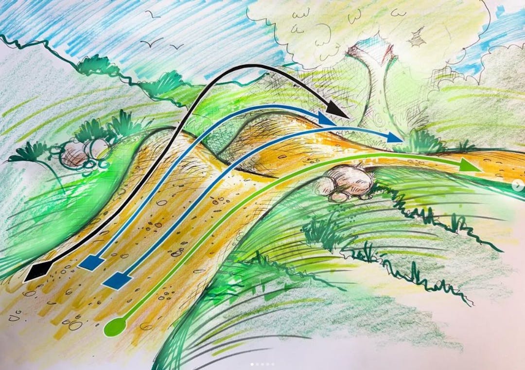 A trail through forest and hills with terrain marked by arrows signaling different skill levels. Image by Richard Hayes.