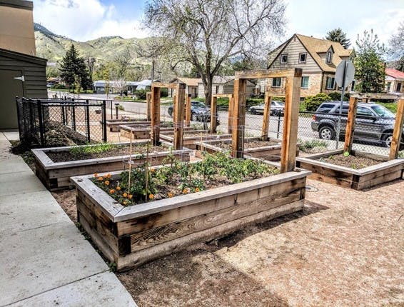Natural Grocer's Community Garden
