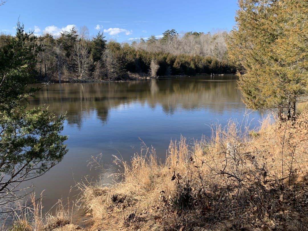 Biscuit Run Greenway | Engage Albemarle