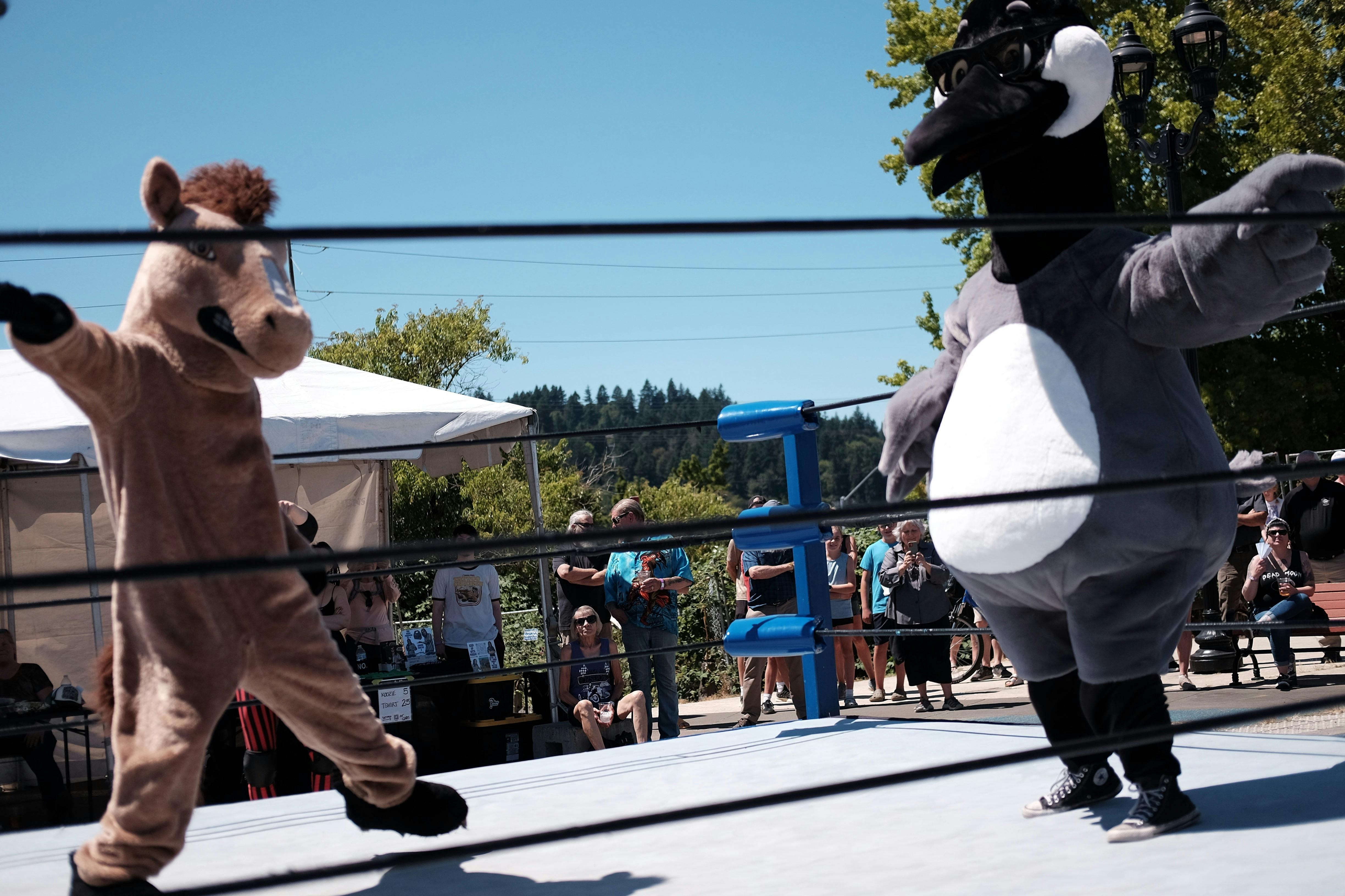 Millie at Milwaukie Fest 2025 Participating in a Mascot Dance Off