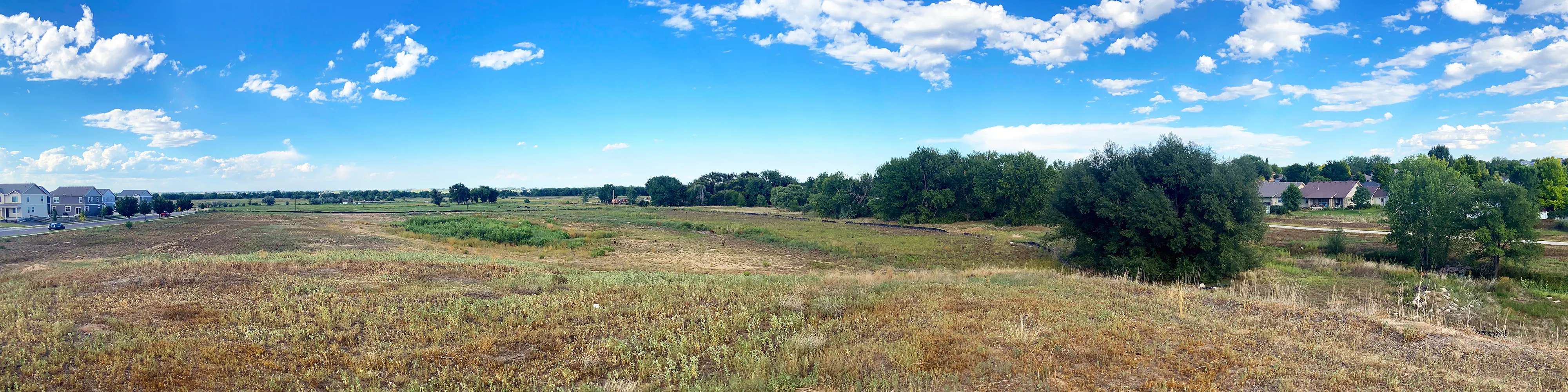 An open expanse of grass with trees visible in the distance and blue skies above 