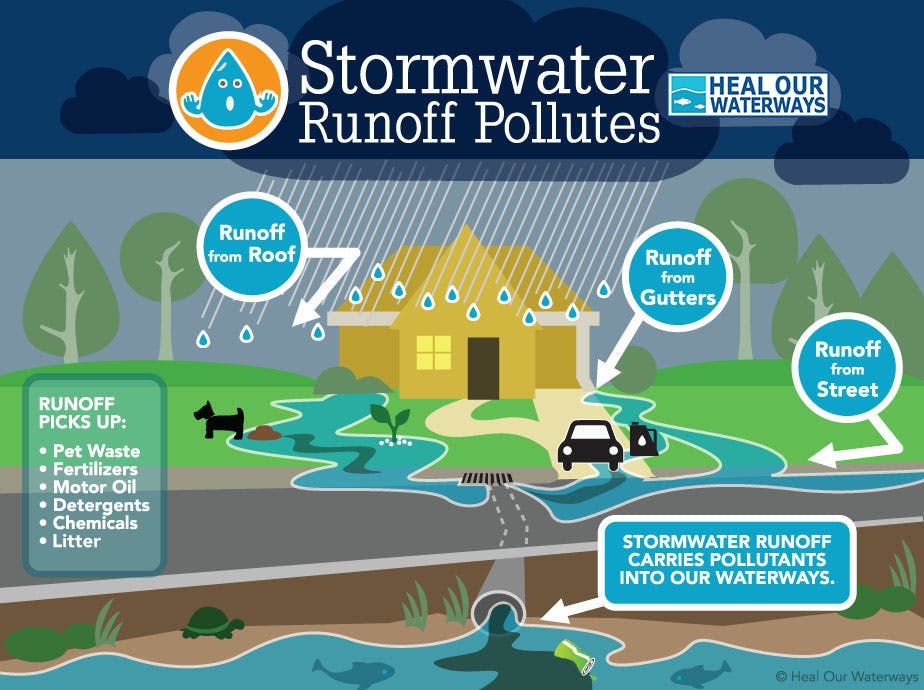 Stormwater pollutes graphic