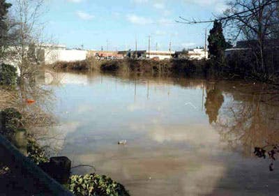 1996 Flood