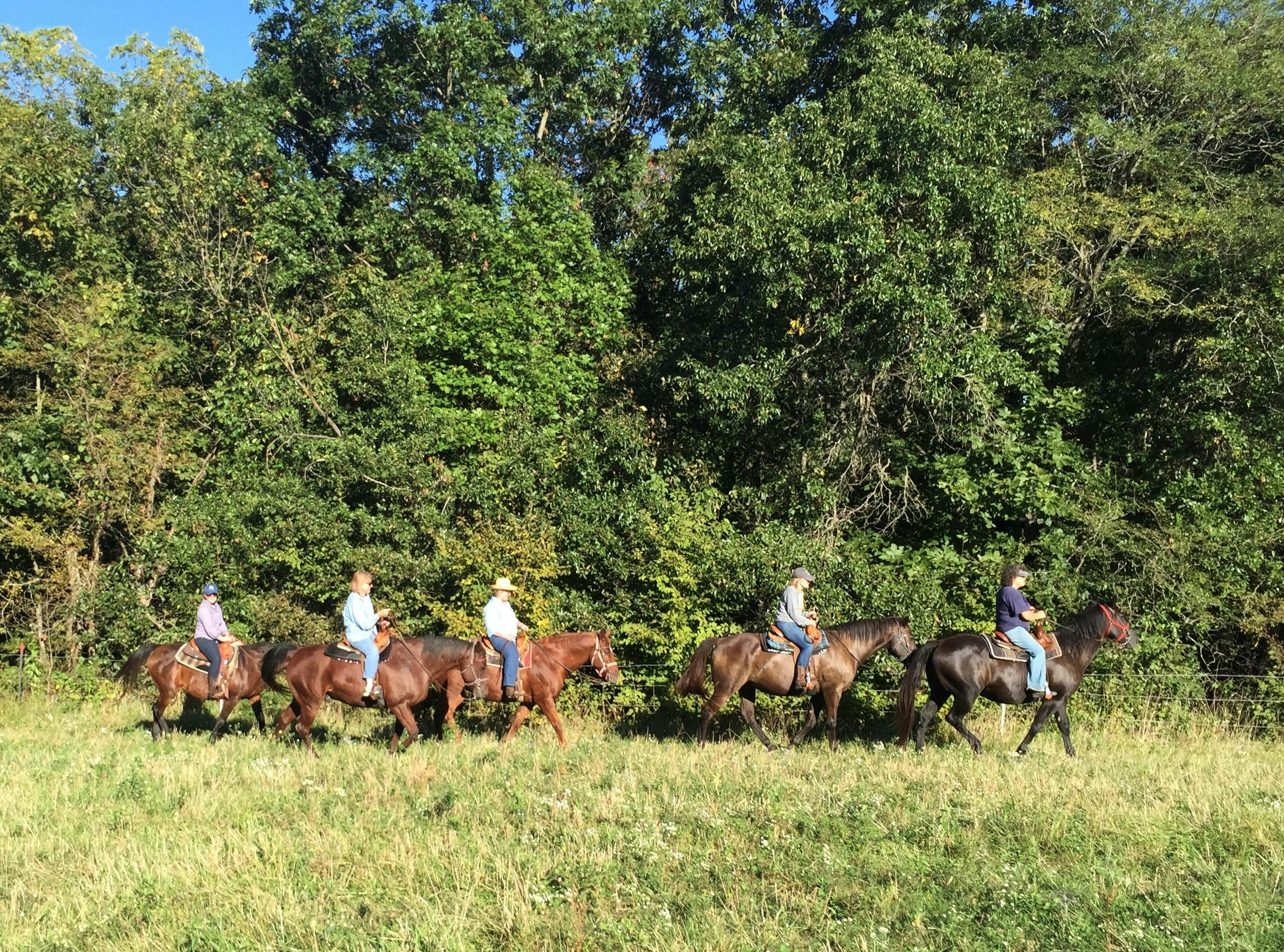 Albany_Trail Ride.jpg